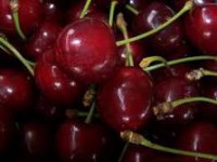 čerešne
